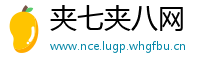 夹七夹八网